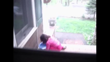 Tot Girl Wishes She Was A Dog -Babies Mastia