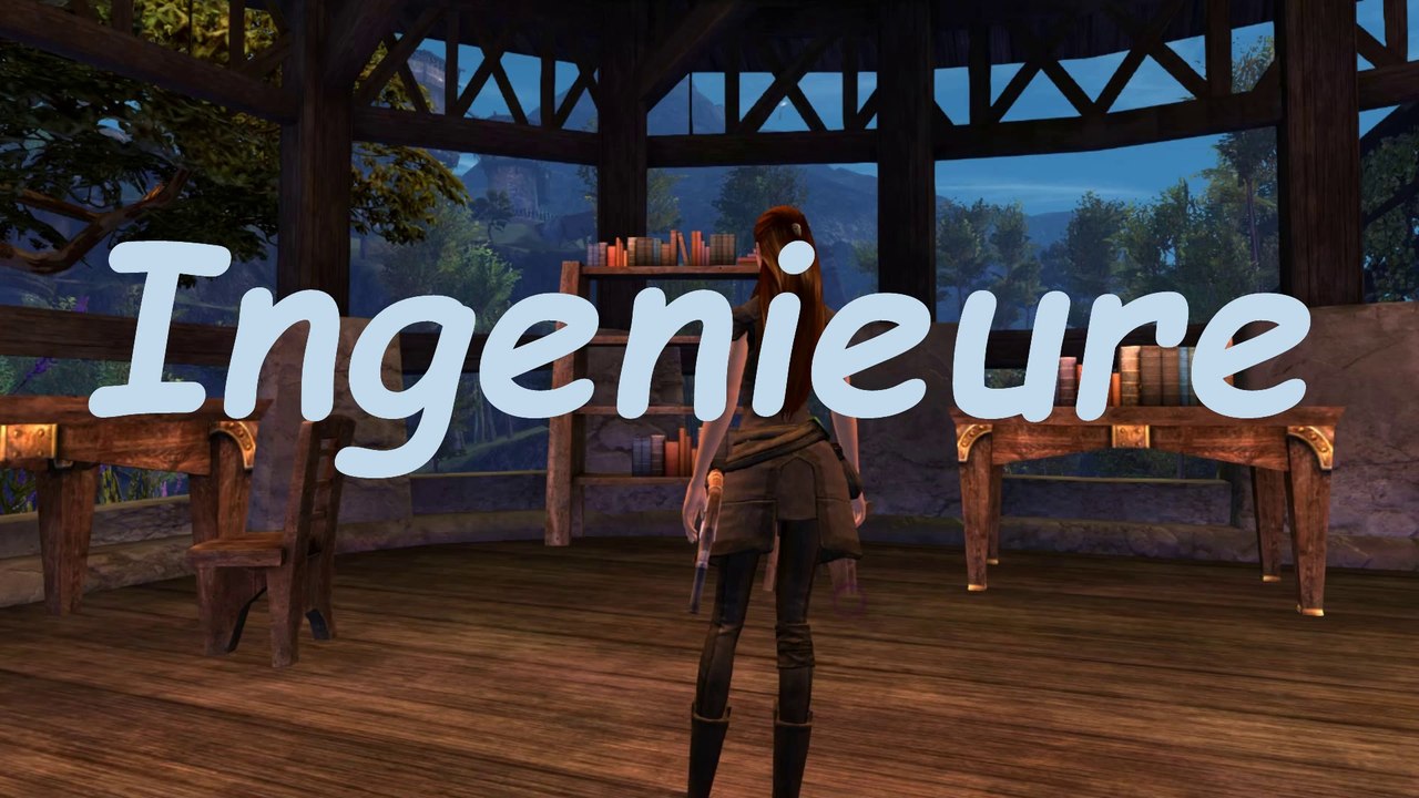 ░ Guild Wars 2 ░  Klasse:  Ingenieur