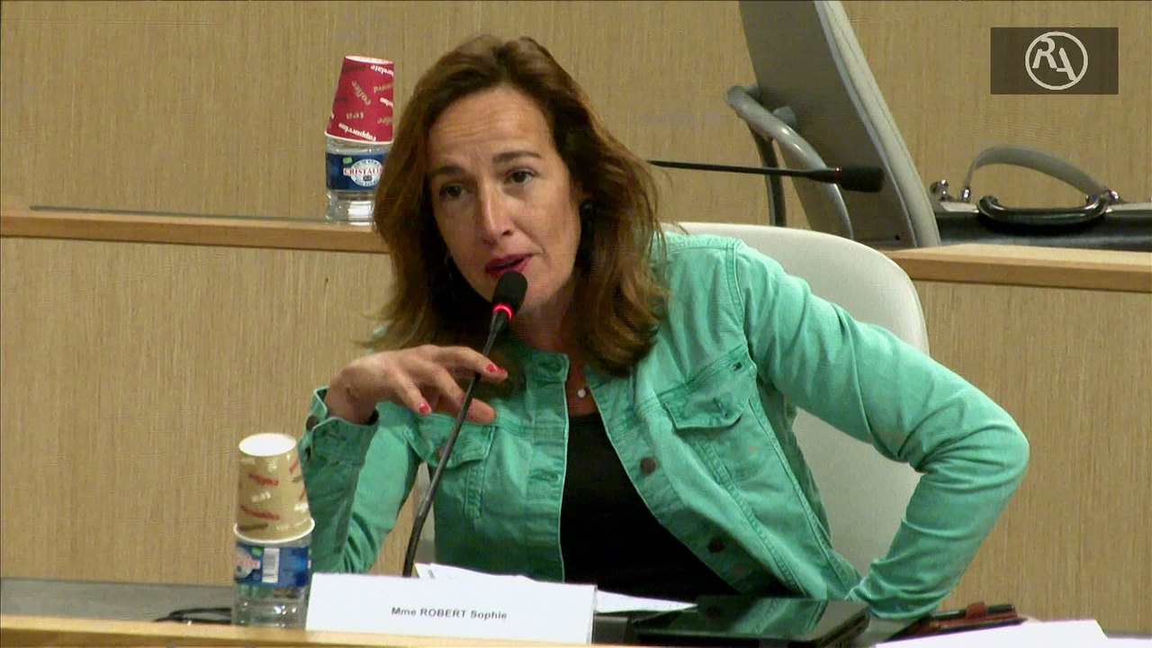 S. Robert (FN) répond à l'accusation par une vice-présidente