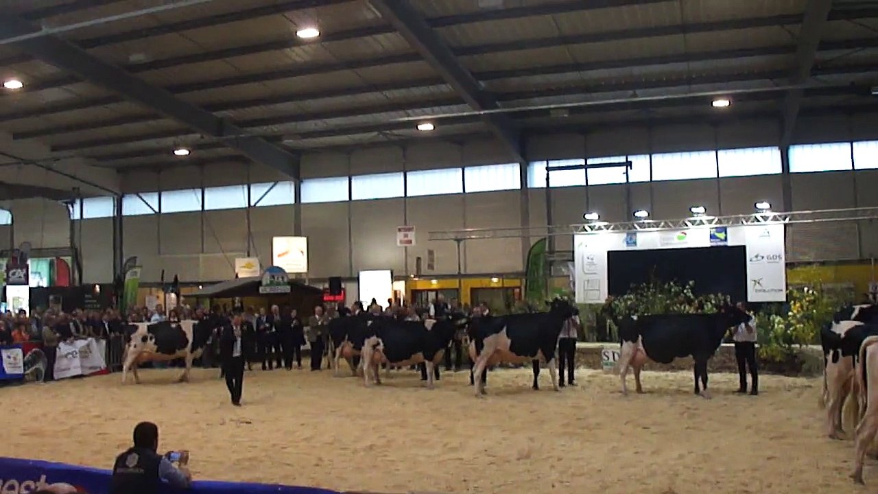 PRIM'HOLSTEIN  championne  adulte  2015