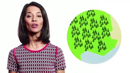 Jacques Séguéla, Sophia Aram et Laurent Voulzy se prennent une claque... pour la bonne cause