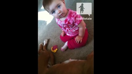 Baby tries to get milk from dog nipple