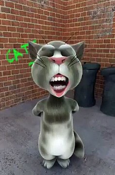 Tom Cat Saying Go Nawaz Go