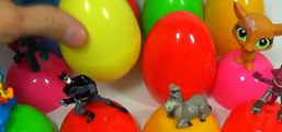 12 surprise eggs unboxing LPS My Little PONY The SMURFS Party Animals Shrek Disney eggs mymillionTV [Full Episode]