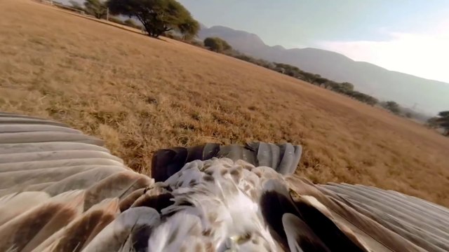 GoPro HERO3 Black Edition Smaller, lighter, mightier still.