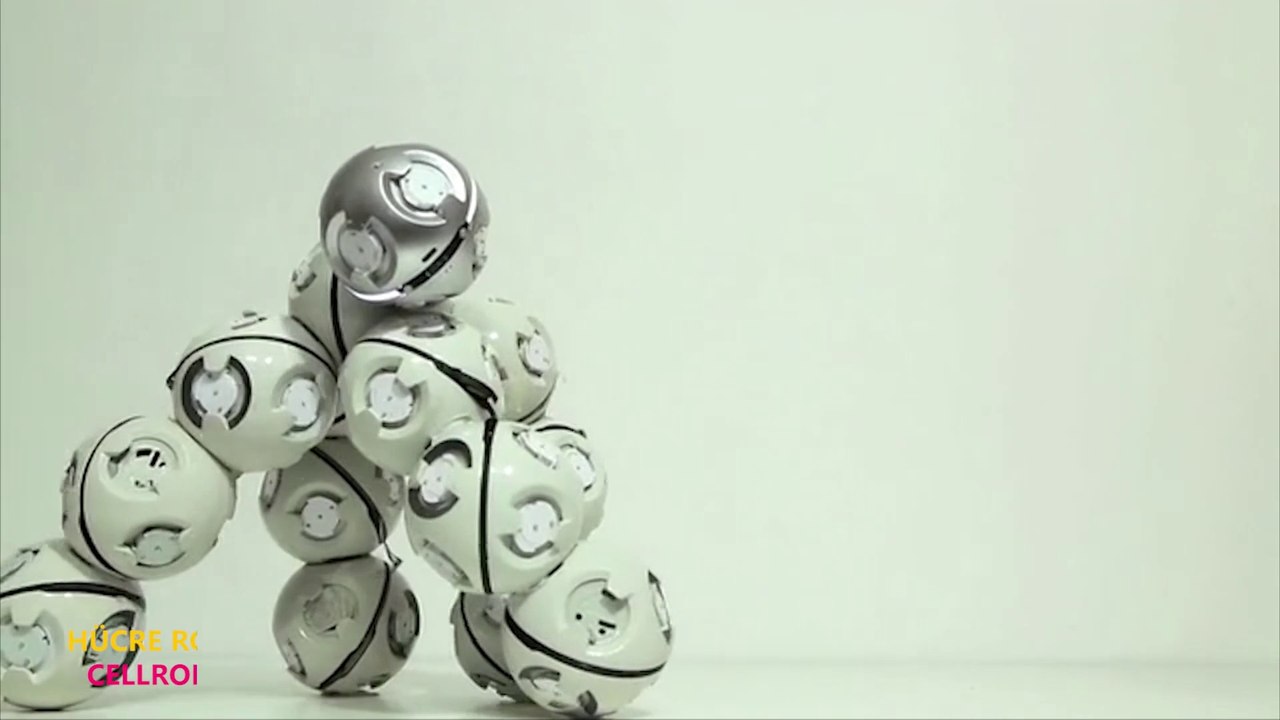 CELLROBOT - HÜCRE ROBOT