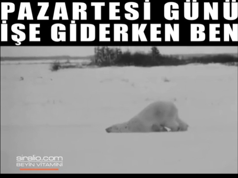 PAZARTESİ GÜNÜ İŞE GİDERKEN BEN