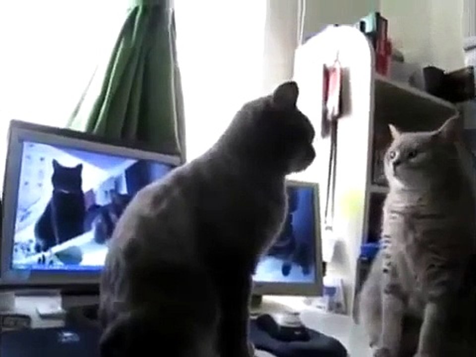Ладушки
