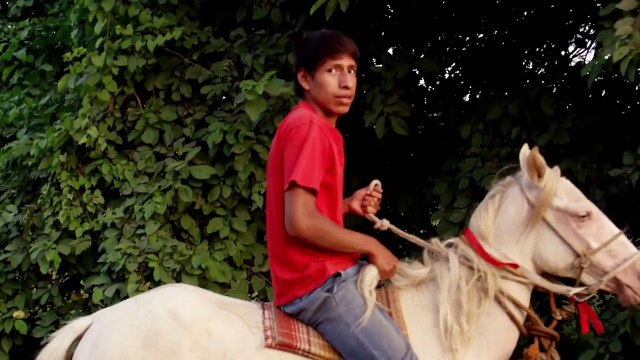 Vidéo : Alana Blanchard de retour sur sa planche au Mexique