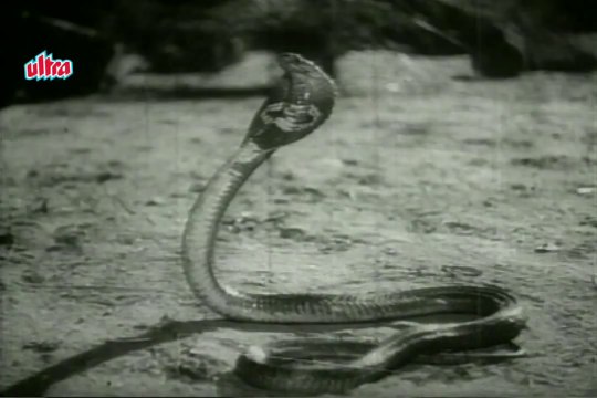 Man Dole Mere Tan Dole - Nagin