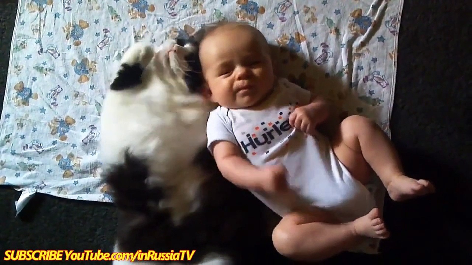 FUNNY VIDEOS Funny Cats Funny Baby Funny Cat Videos Funny Animals Funny Babies Videos