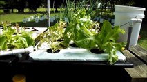 hydroponic farming documentary, Home mad Hydroponic farm, hydroponic farming systems