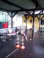 Amzing Hot Girl Fighter