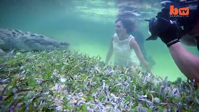 Crocodile research under the sea By Oooy Idhar Dekh