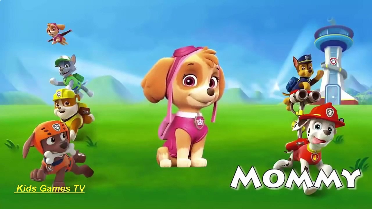 Paw Patrol Cartoon Daddy Finger Full Games for Kids HD