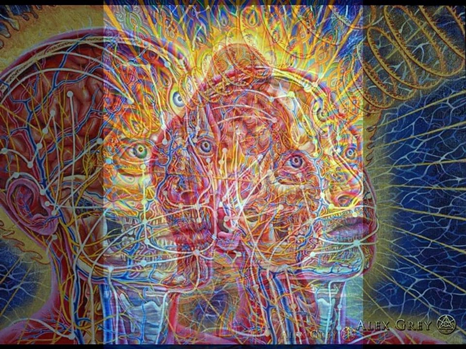 Évolution    ' Fronczak Dominique '