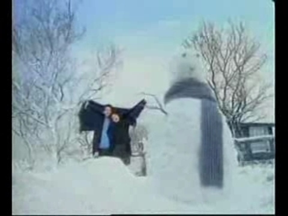 绝美范冰冰