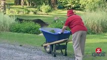 Yaşlı kadının kocasını gömme şakası - Funny videos - Komik videolar