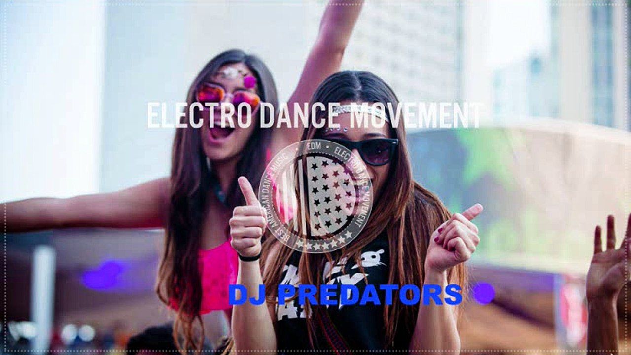 Electro Vol. 2 - DJ PREDATORS