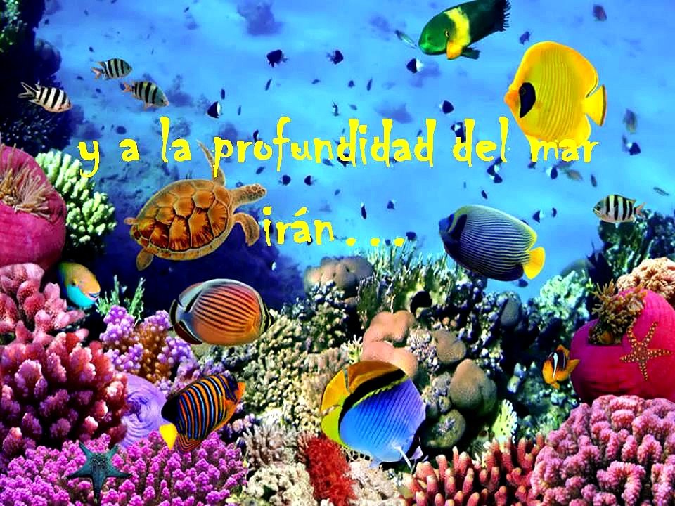 UNA HISTORIA PARA MAR