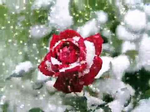 Avuçlarımda Sensizliğin Hüznü (Kar Yağıyor) (Hüzünlü Siir)