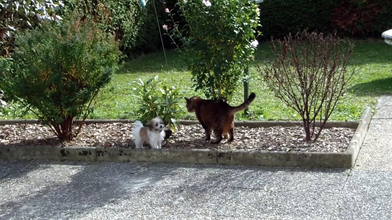 Candy et Sylvestre, séquence de jeu