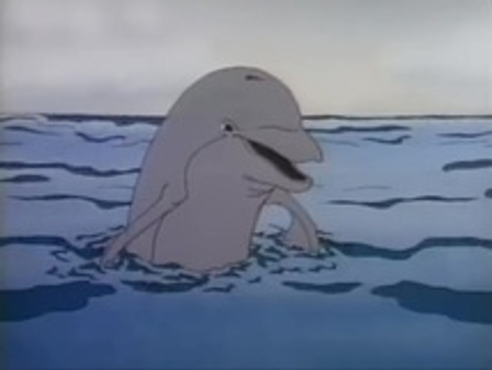 Dolphin Express