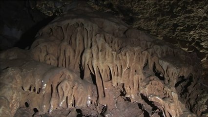 غابات برقش بالأردن تعاني الإهمال