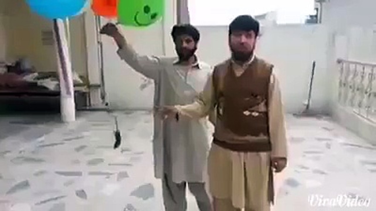 Best Funny Video 2015