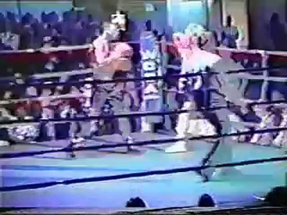 Roy Jones Jr. vs Ron Johnson (11/05/1990)