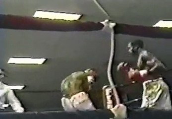 Roy Jones Jr. vs Lester Yarbrough (31/08/1991)