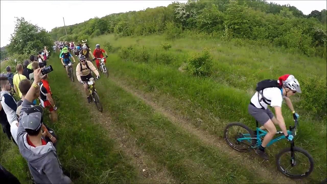 La course des Crapauds 2015