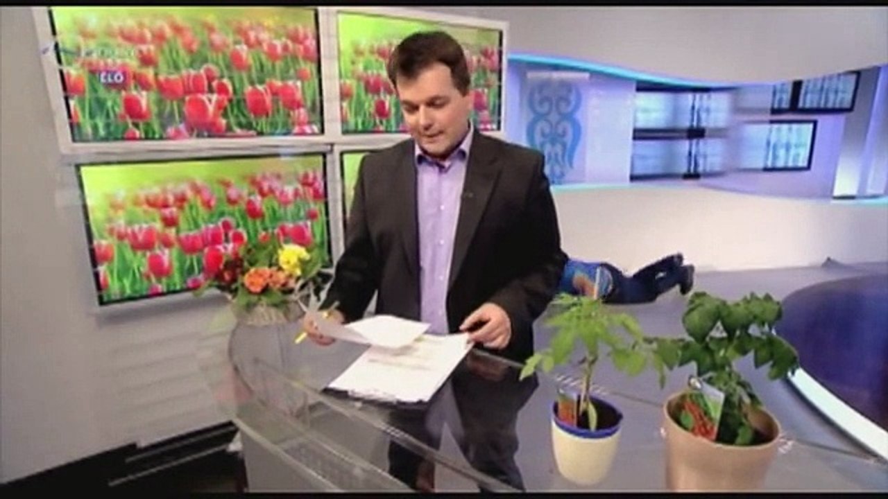 Funny Videos Try Not To Laugh Challenge Funny Pranks Funny Bloopers Funny Fails-copypasteads.com