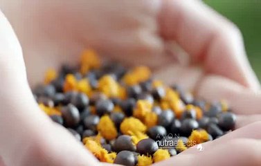 AVON Nutra Radiance Reklamı