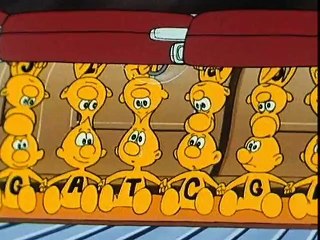 Siamo fatti così - 14 - I neuroni