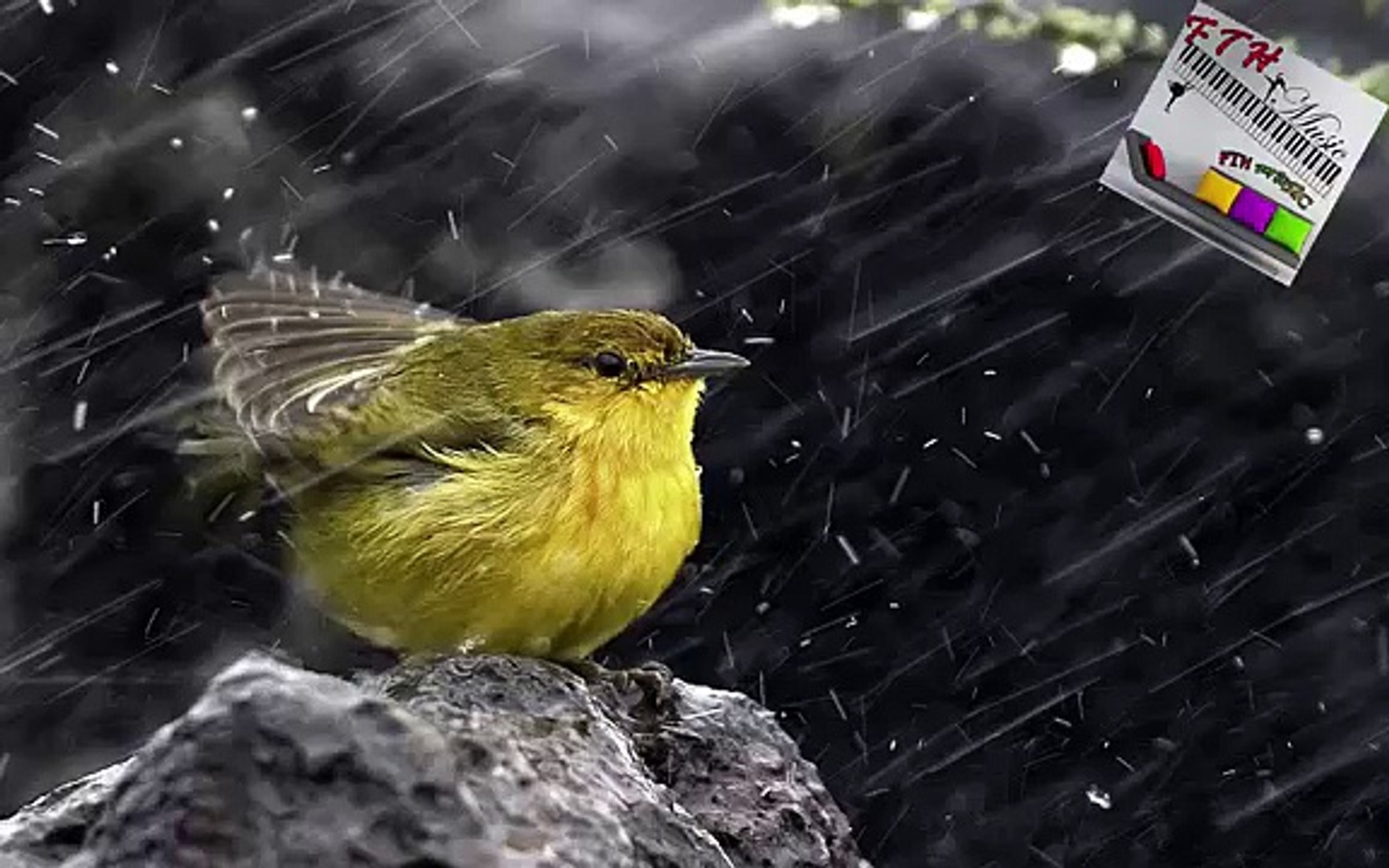 2 - ♪ ♫ ♩ ♬ Relaxing Music - Sleep Music - Study Music - Spa - Soothing Music - instrumental Music