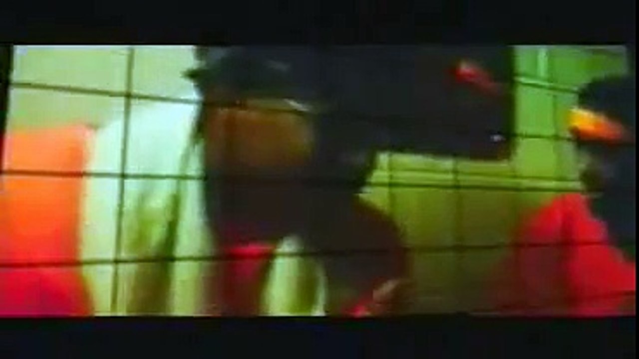 C-Murder ft. B.G. Ya'll Heard Of Me (MUSIC VIDEO)