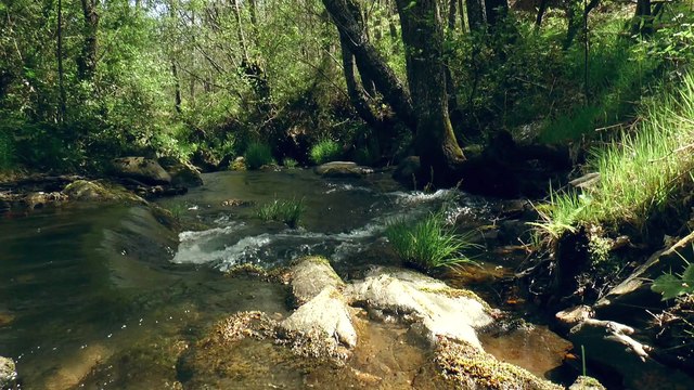 Faithful to the end - Overcoming the persecution for Christ´s sake (By David Rothfuss)