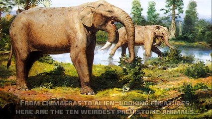 World's 10 Weirdest Prehistoric Animals