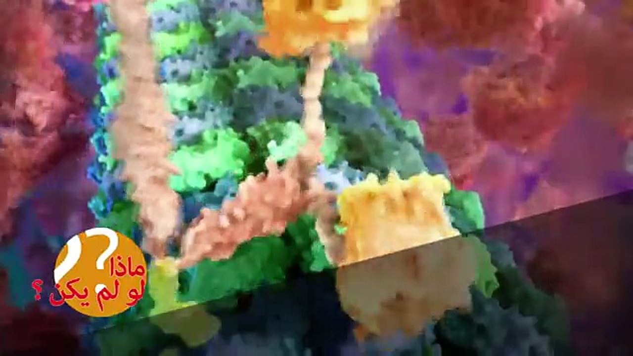 ماذا لو لم يكن؟2 -الغذاء