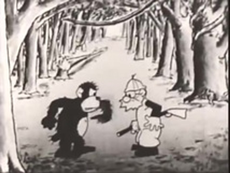 The Jungle Fool