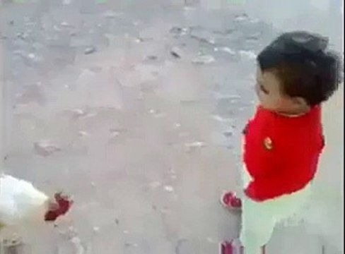 Baby VS Chicken Fight - Lets See Who Wins