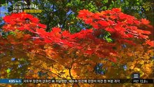 아침 1부.E209.151020