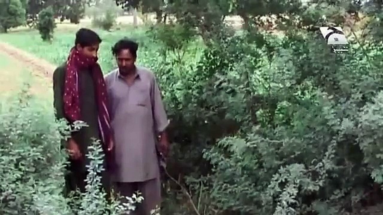 Pakistani Cycle Snatcher Funny - Tezabi Totay