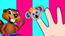 Finger Family Koala Puppets | Learning Easy English for Kids, Catchy Pop Song, Cute Animal