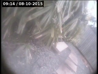 Pipe Reline Quote #274