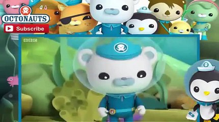 The Octonauts Episode 10 The Scared Sperm Whale Full Movies 2015 Best Action Hot Movie Dub