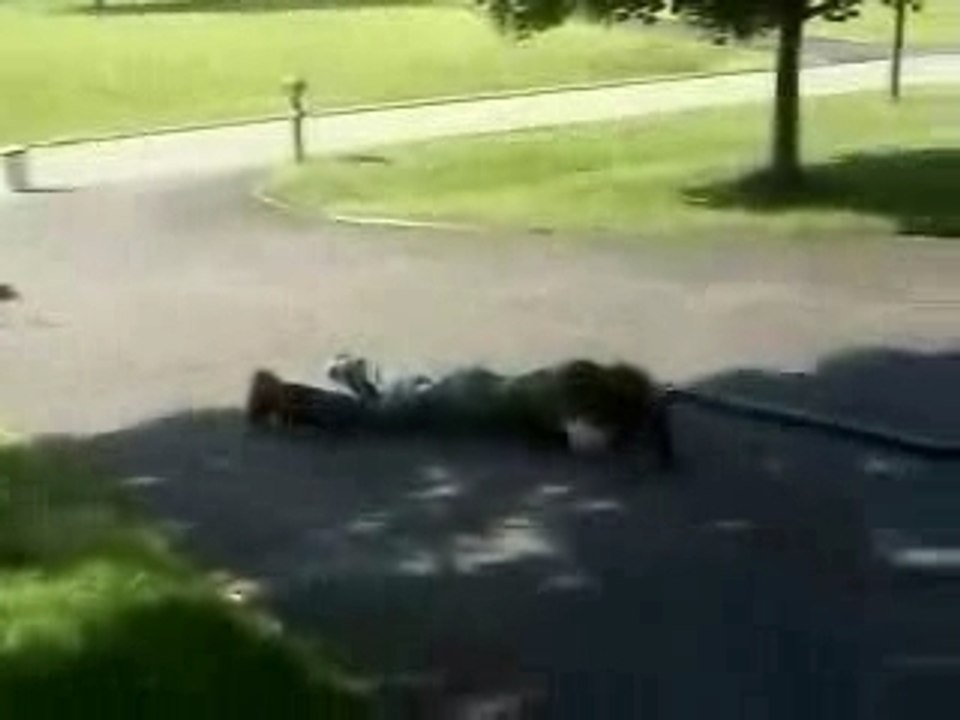 Crash