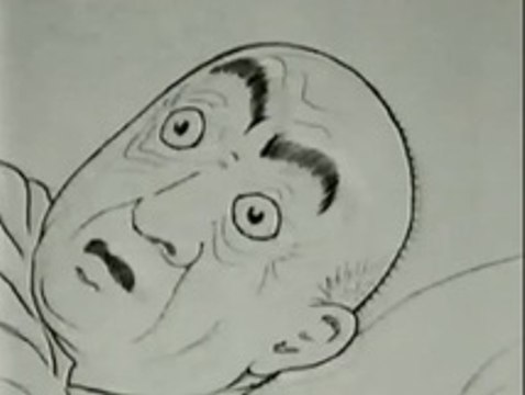 How A Mosquito Operates