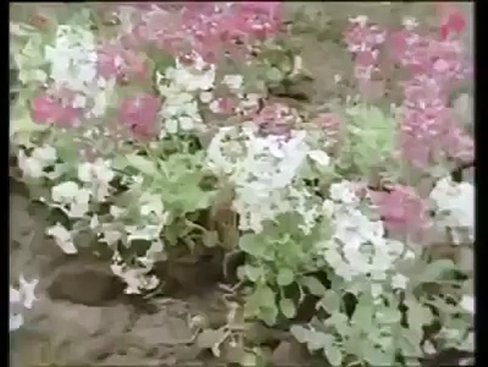 world sexiest ass max funny